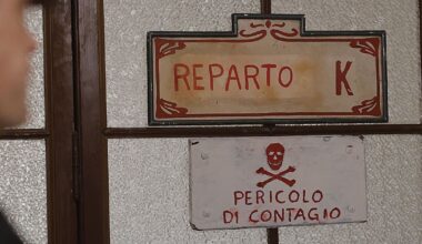 Morbo K, ultima puntata: cast, storia vera, libro