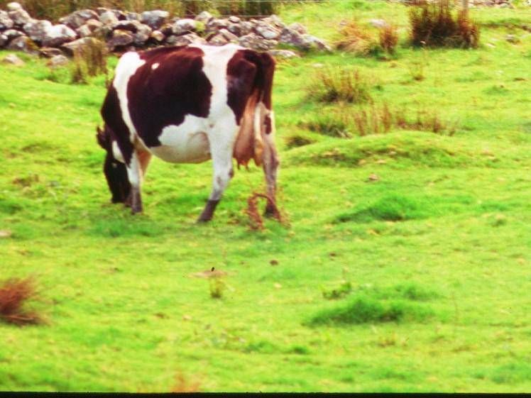 prima volta fuori dagli Usa