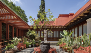 A Città del Messico apre la casa dove nacque Frida Kahlo che ora diventa museo