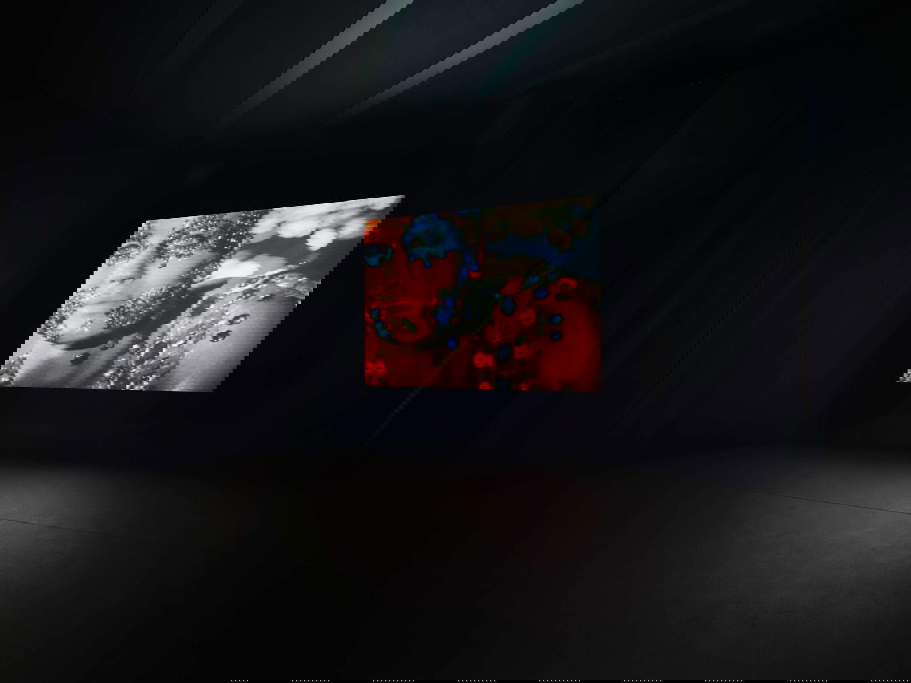 Nan Goldin, Sirens (2019-2020). Veduta dell’installazione, Pirelli HangarBicocca, Milano, 2025 © Nan Goldin, su concessione dell’artista, Gagosian e Pirelli HangarBicocca, Milano. Foto: Agostino Osio