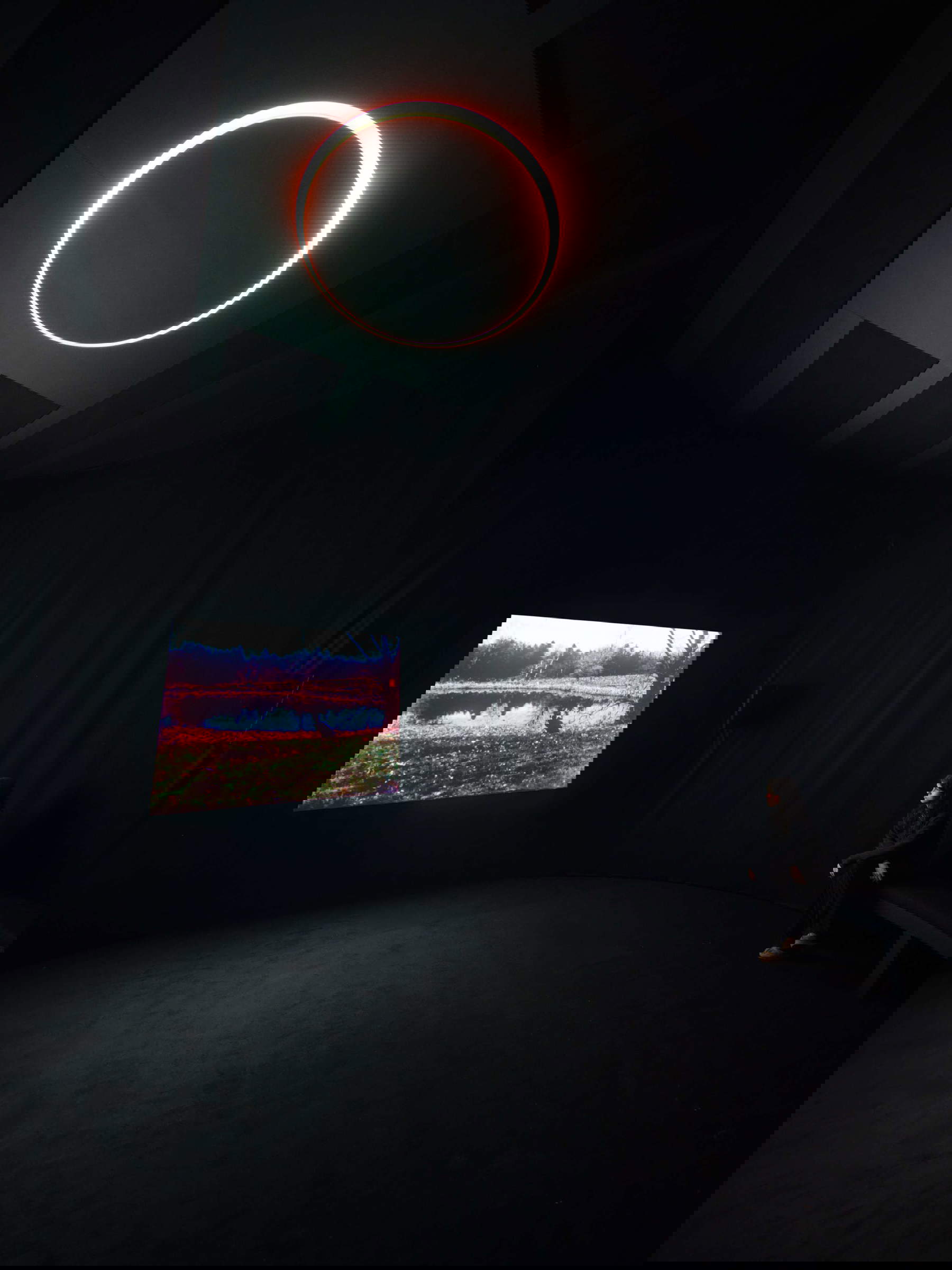 Nan Goldin, You Never Did Anything Wrong (2024). Veduta dell’installazione, Pirelli HangarBicocca, Milano, 2025 © Nan Goldin, su concessione dell’artista, Gagosian e Pirelli HangarBicocca, Milano. Foto: Agostino Osio