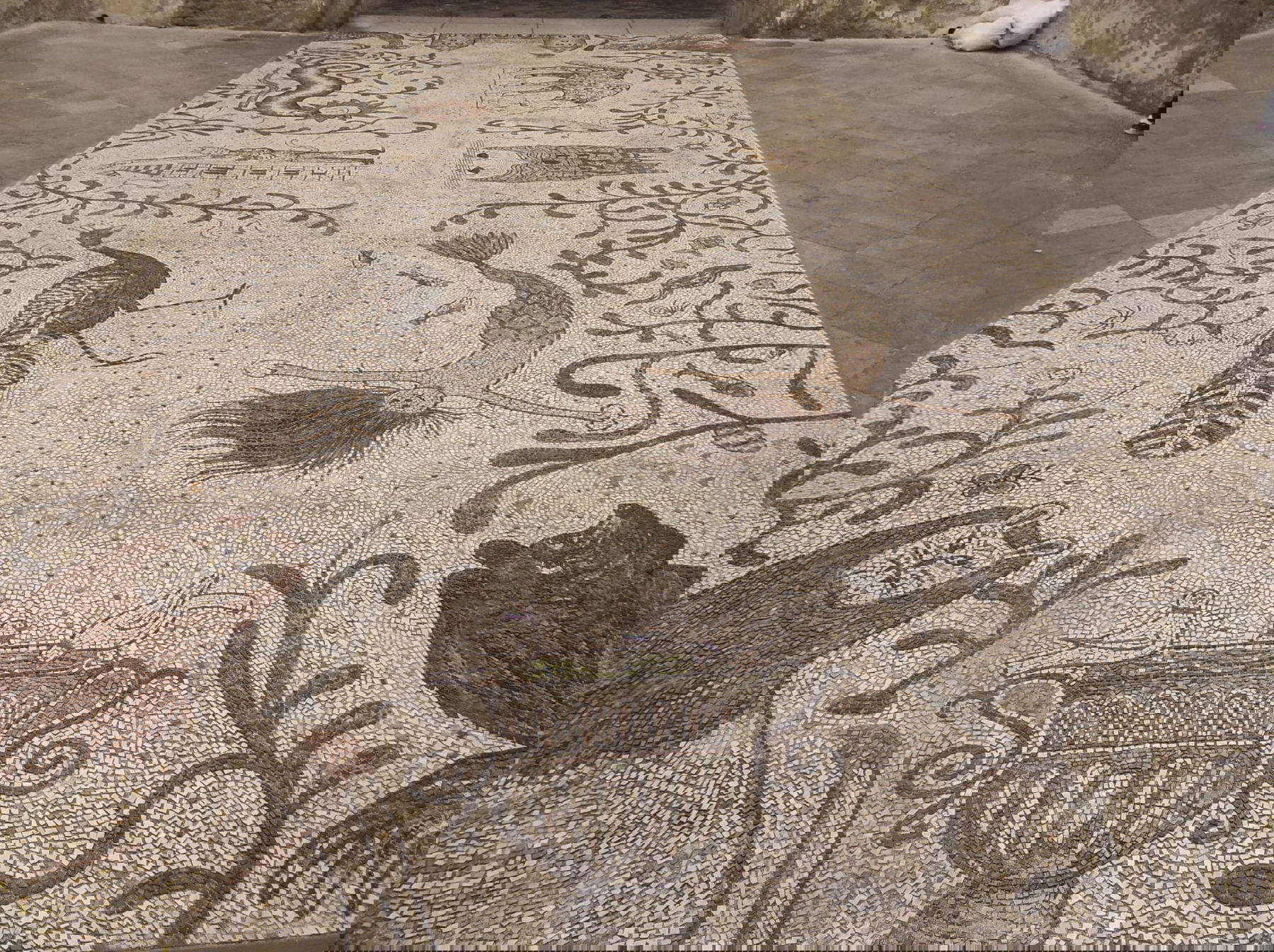 Nicola Montalbini, Il Pavimento. Foto: Nicola Montalbini