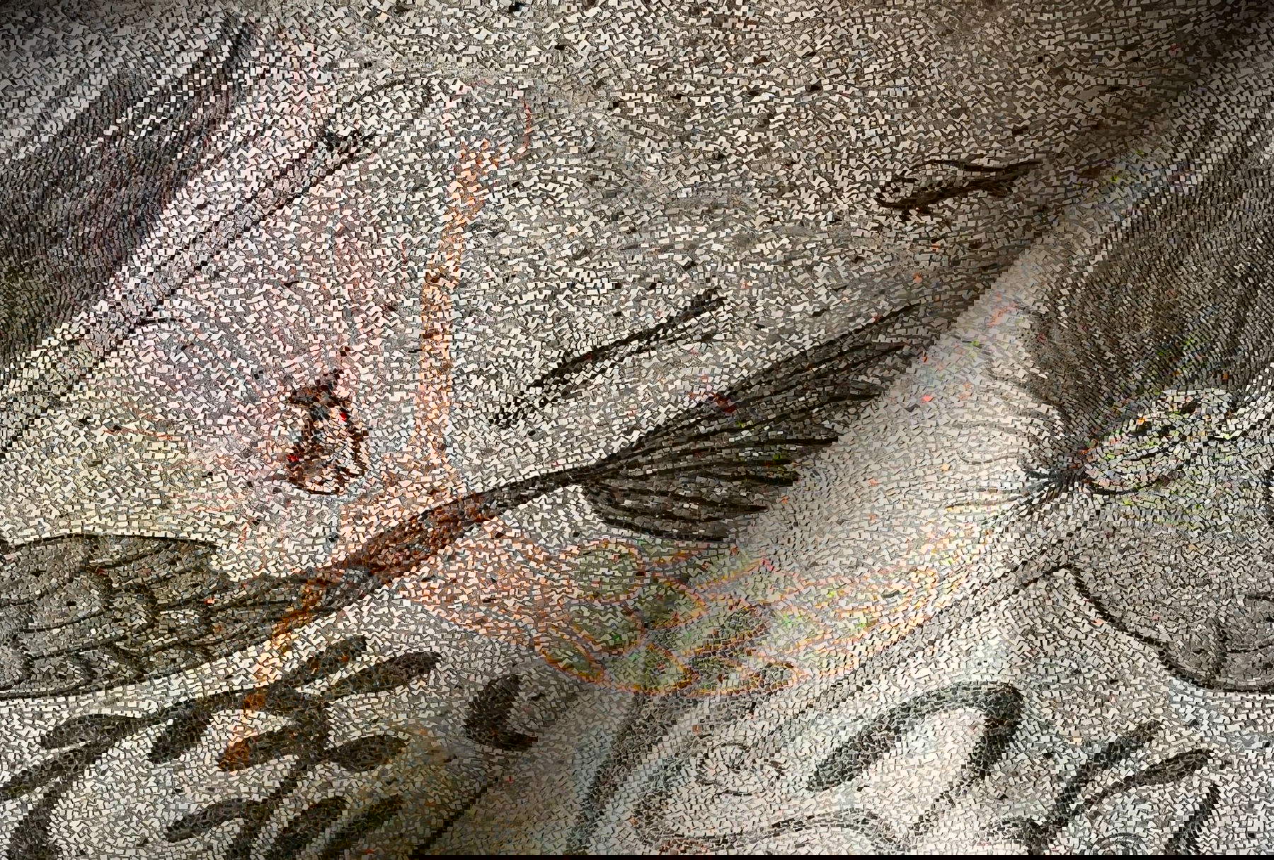 Ravenna, La Sirena Elettra mangiata dai Pesci. Foto: Nicola Montalbini