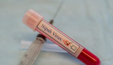 Virus Nipah, nuovi casi in India: cos'è e quali sono i sintomi dell'infezione