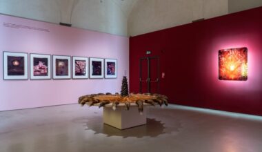 La prima retrospettiva italiana dedicata alla grande artista Helen Chadwick è a Firenze 