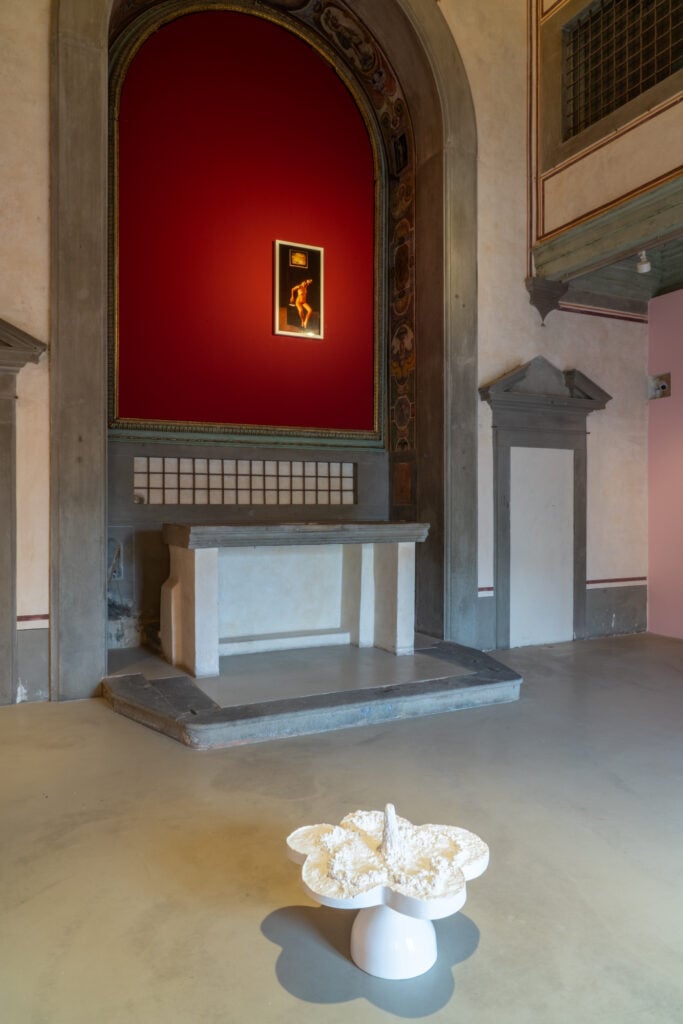 Installation Views, Helen Chadwick, Life Pleasures, courtesy Museo Novecento, 2025 ph Elisa Norcini