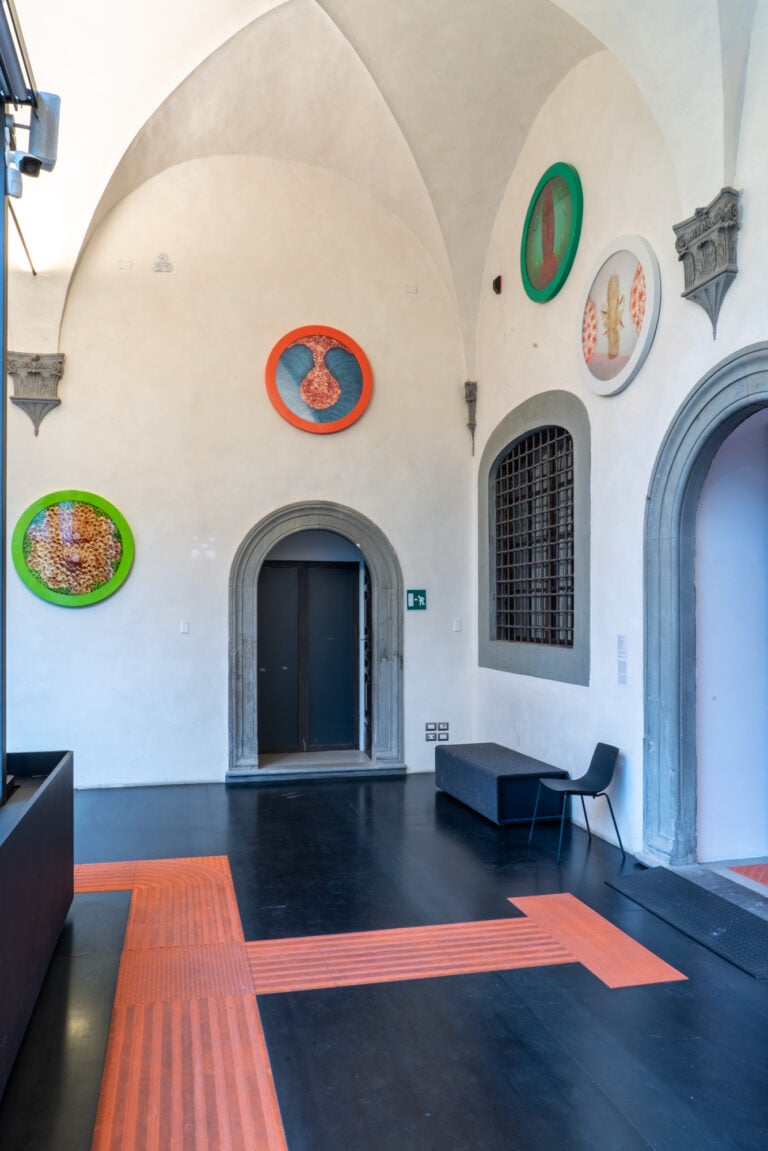 La prima retrospettiva italiana dedicata alla grande artista Helen Chadwick è a Firenze 