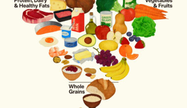 Nuova piramide alimentare USA: carne e proteine al centro, cereali in fondo | Il Fatto Quotidiano