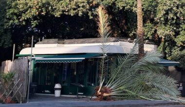 Nervi, cade una palma in piazza Sciolla sui tavolini del chiosco della stazione