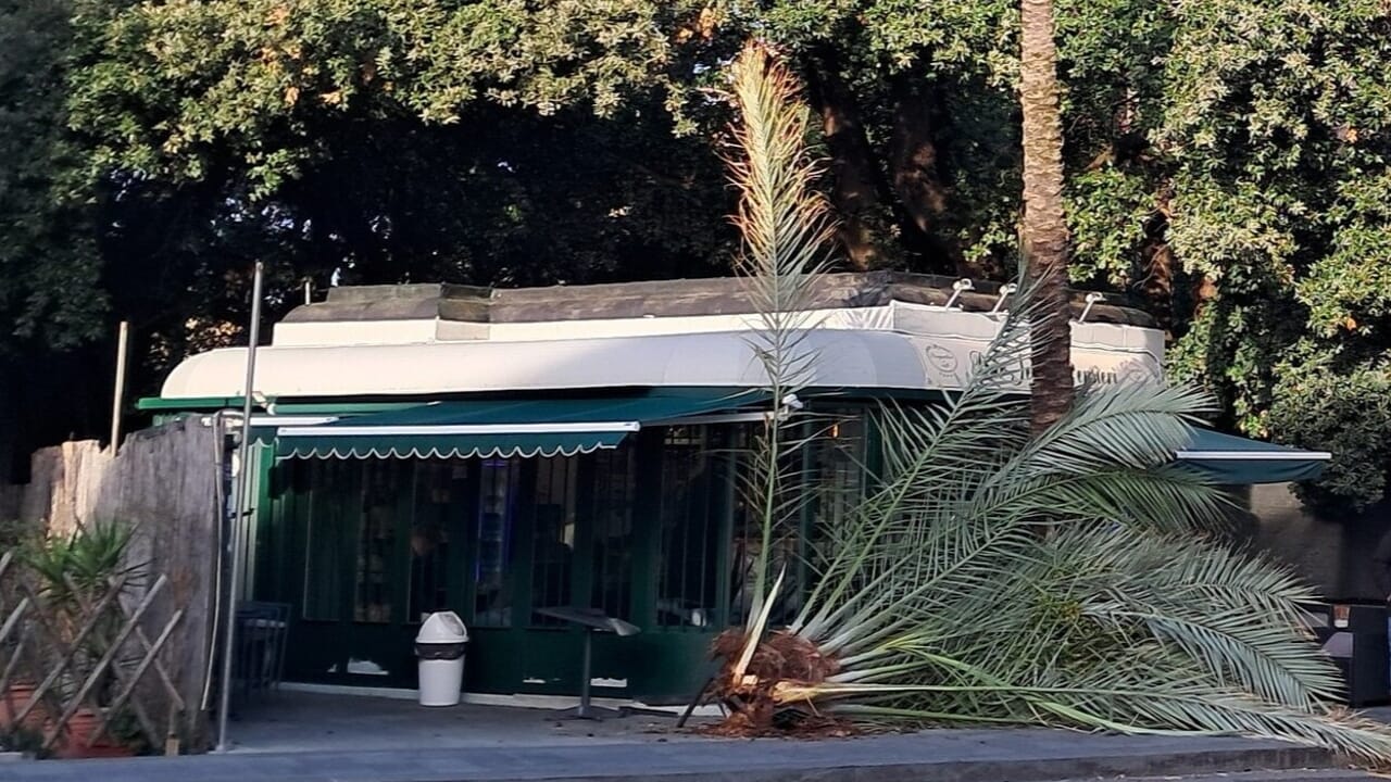 Nervi, cade una palma in piazza Sciolla sui tavolini del chiosco della stazione