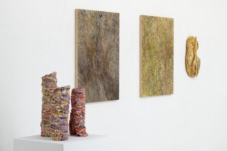 Particolare della mostra “In the forest loudly falling silent”, 2022:2023, Galleria Studio la Città Verona, foto credits Michele Alberto Sereni