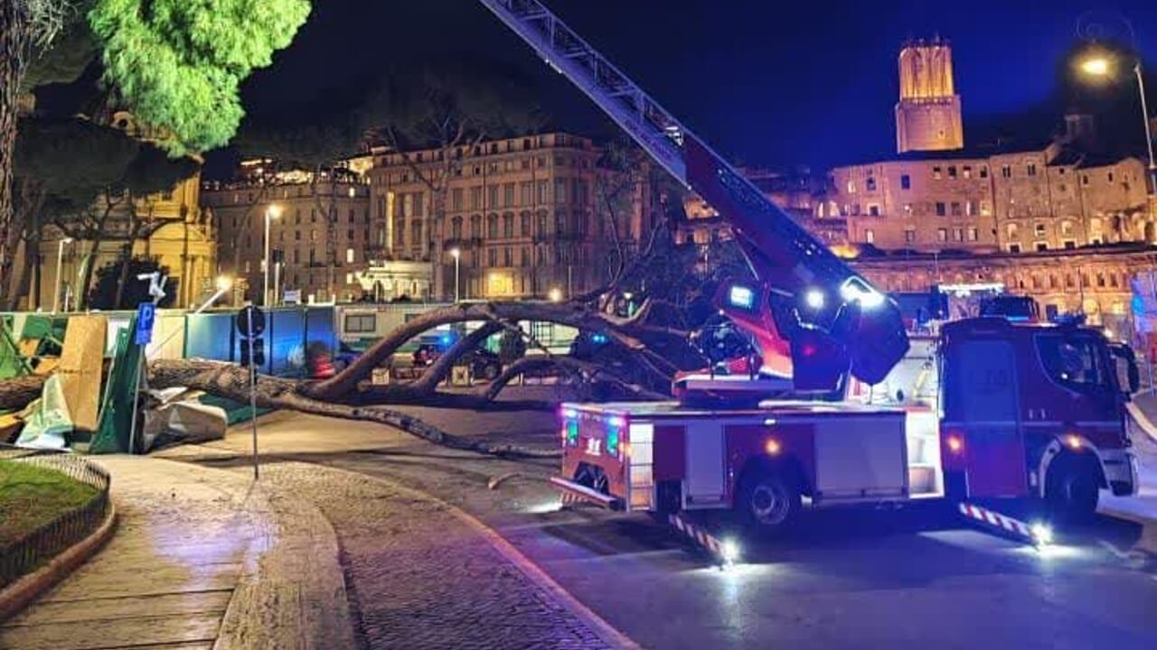 crolla un secondo albero in via dei Fori Imperiali