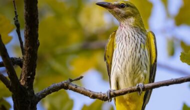 Con la premiazione dei fotografi, scatta il 2026 dell’Oasi Le Foppe.