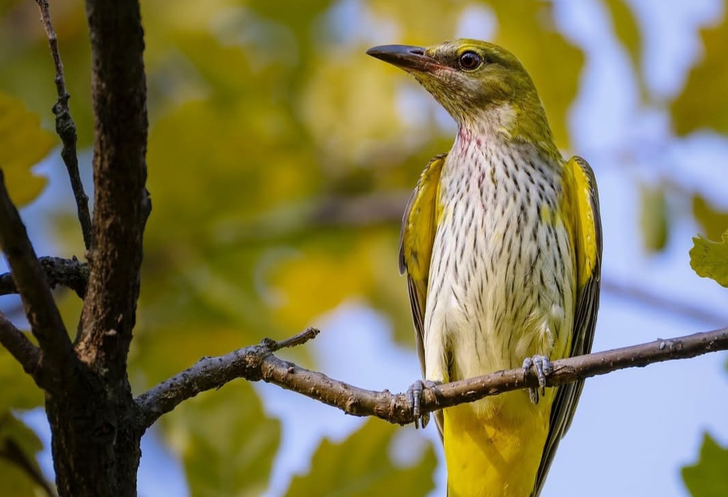 Con la premiazione dei fotografi, scatta il 2026 dell’Oasi Le Foppe.