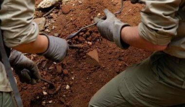 La scienza sposta il primo passo dell'uomo, ecco quando abbiamo iniziato a camminare