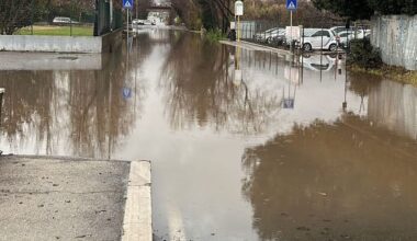 strade allagate, alberi e rami caduti in città