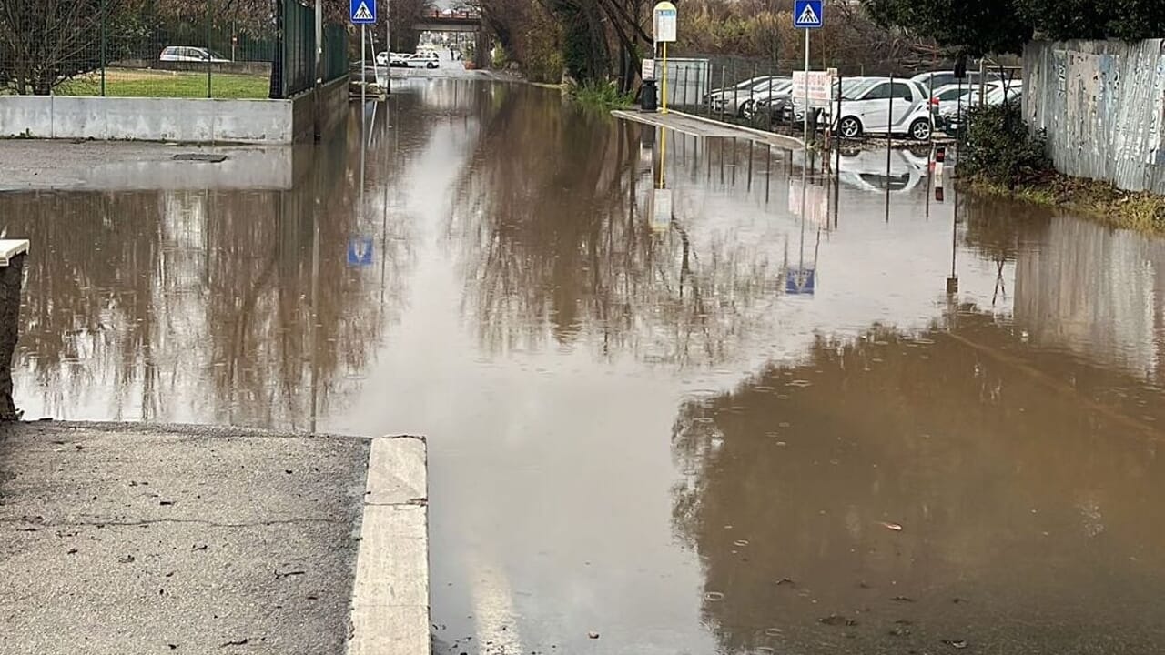 strade allagate, alberi e rami caduti in città