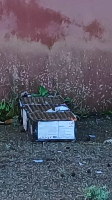 WhatsApp Image 2026-01-11 at 11.08.27