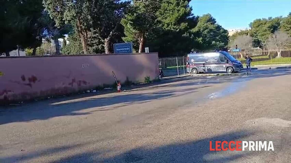 WhatsApp Image 2026-01-11 at 11.19.03