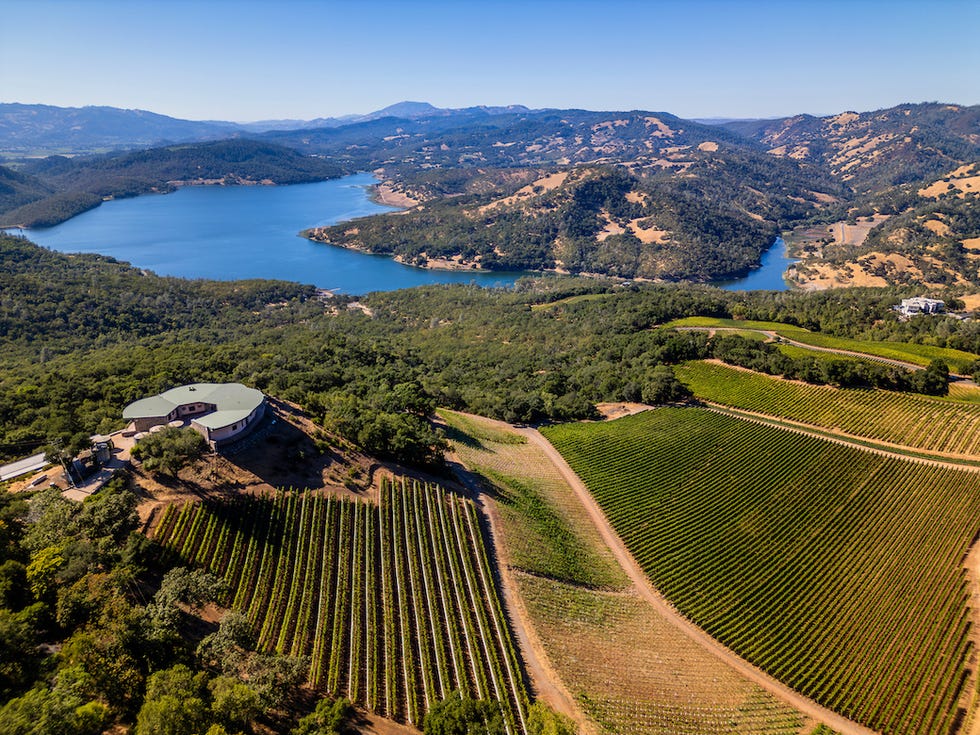 aerial view of vineyards and a lake surrounded by hills
