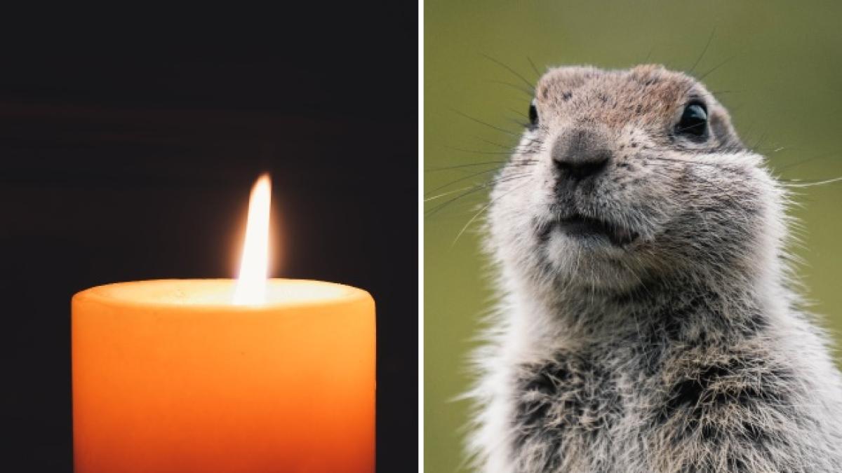 Il 2 febbraio è il giorno della Candelora: significato del nome e perché si festeggia oggi