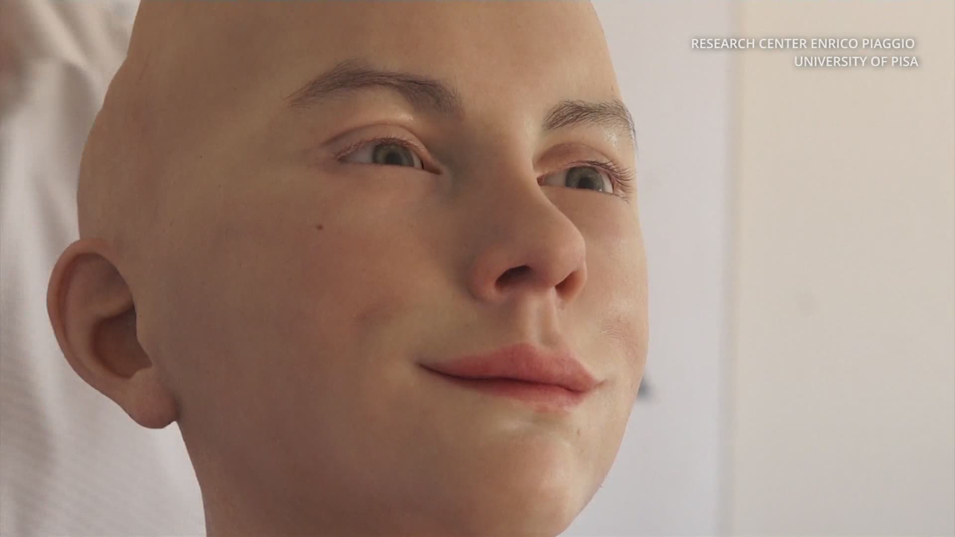 Piccoli umanoidi crescono: i robot antropomorfi italiani alla conquista dei mercati