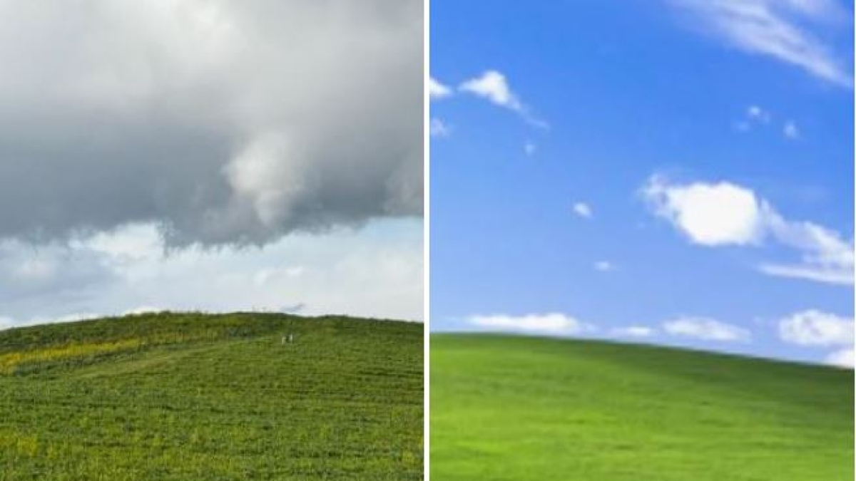 La collina «Bliss» di Windows XP è (tornata) come 30 anni fa: lo sfondo che immortalò la storia dei sistemi operativi