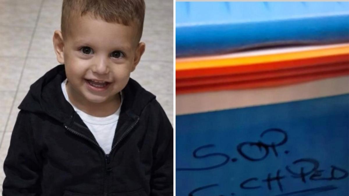 Il trapianto su Domenico e lo stupore del caposala: «Ma cos'ha fatto, ha già levato il cuore?». E il chirurgo disse: «Non farà mai un battito»