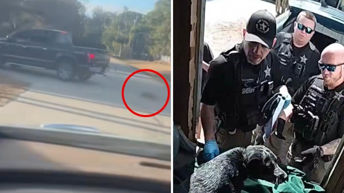 Lega il cane al pick up e lo trascina sull'asfalto, poche ore dopo è in carcere. «Tolleranza zero per chi maltratta animali»