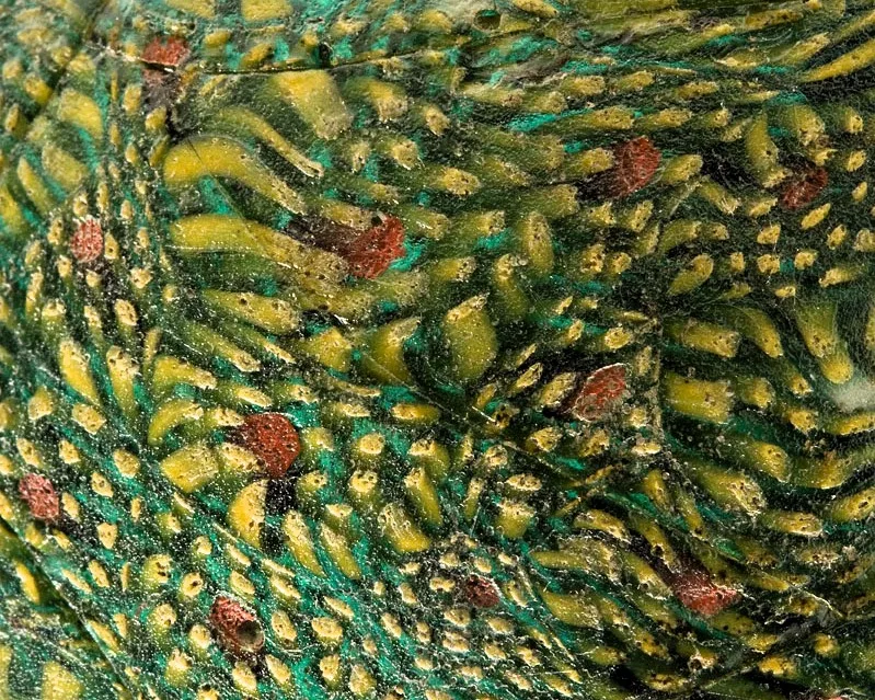 Particolare della coppa romana, trovata ad Altino. Fiori grandi e piccoli erano realizzati, nella lavorazione a murrina, tagliando a fetta canne di vetro multicolori. Le fette venivano poi riscaldate fino a paziale fusione