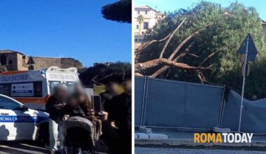 Roma, crolla un pino ai Fori Imperiali, ferita una ragazza