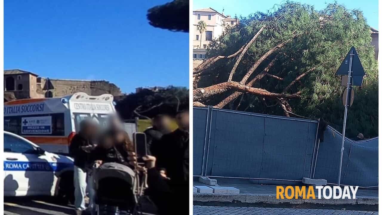Roma, crolla un pino ai Fori Imperiali, ferita una ragazza