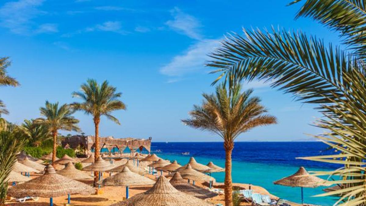 Coppia va in vacanza a Sharm el Sheikh e lascia 5 figli minori soli a casa. I ragazzi affidati tutti a una comunità