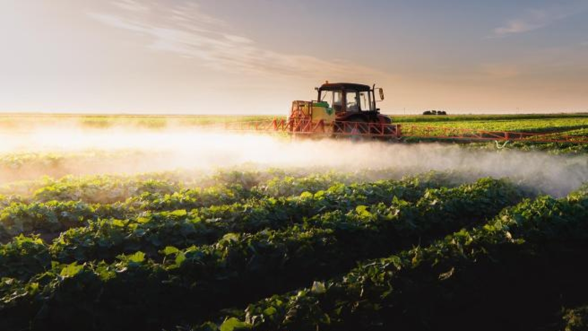 Il fertilizzante come arma geopolitica: il Golfo in guerra minaccia il prezzo globale del cibo