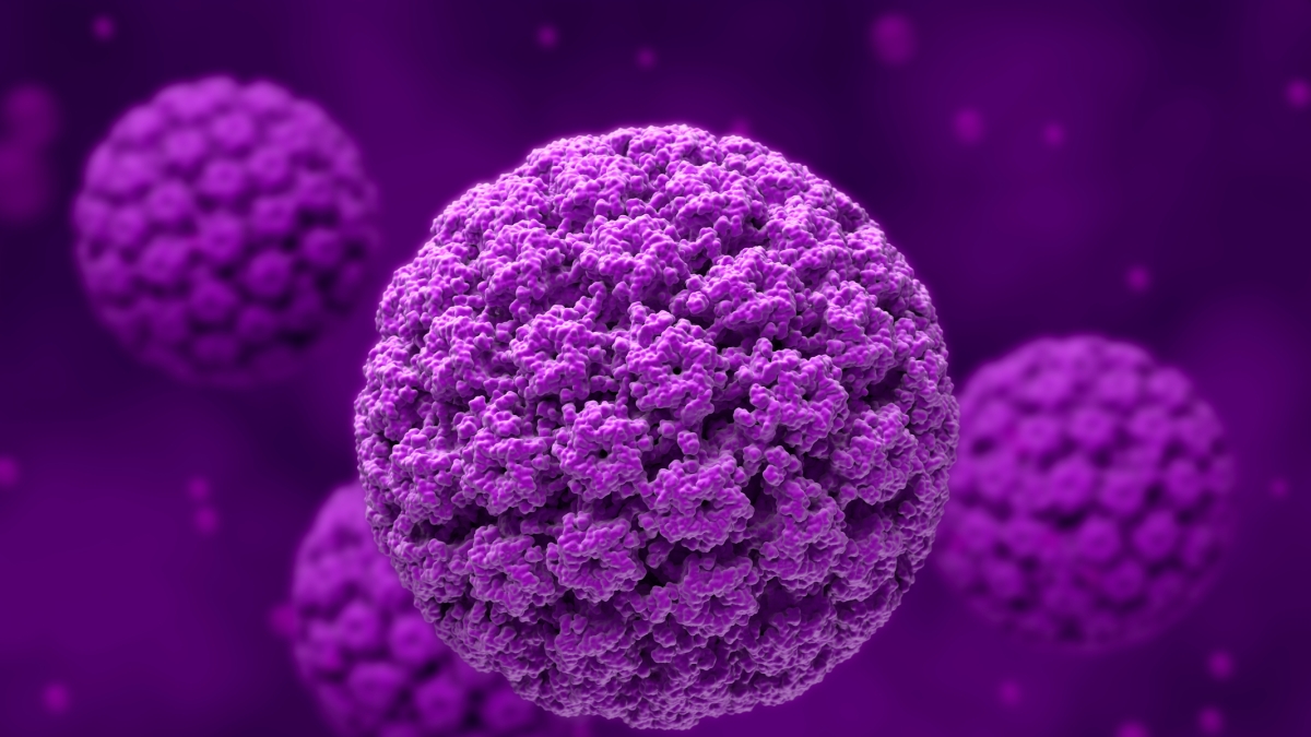 «Hpv, se sono positivo posso trasmetterlo con un bacio?»: le risposte dell'esperta alle domande più comuni