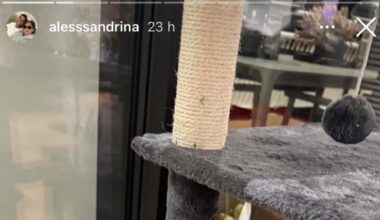 Napoli, Politano e la moglie adottano le gatine Brigitte e Bardot