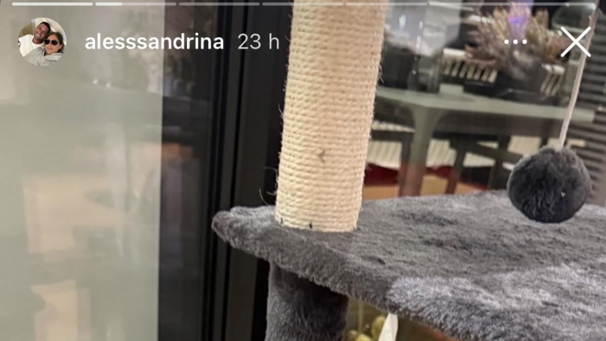 Napoli, Politano e la moglie adottano le gatine Brigitte e Bardot