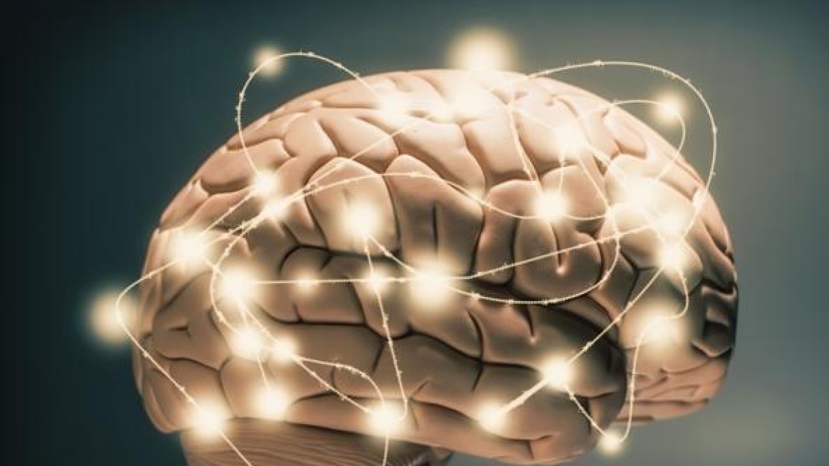 I 12 segreti per far funzionare meglio il cervello: quali sono le sostanze essenziali per proteggere i neuroni da stress e invecchiamento