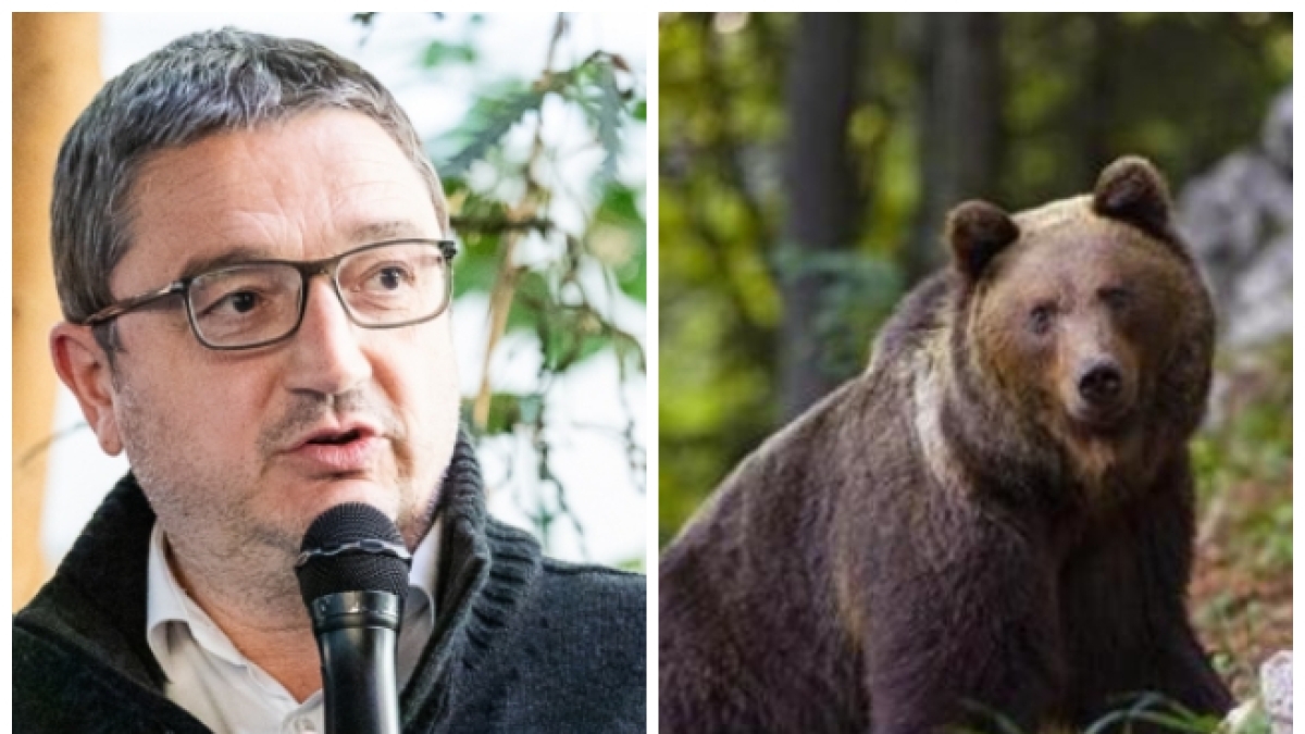 Abbattimento orso M90, l'assoluzione del governatore Maurizio Fugatti è un caso. Animalisti delusi. Brambilla (Leidaa): «Il fatto sussiste»