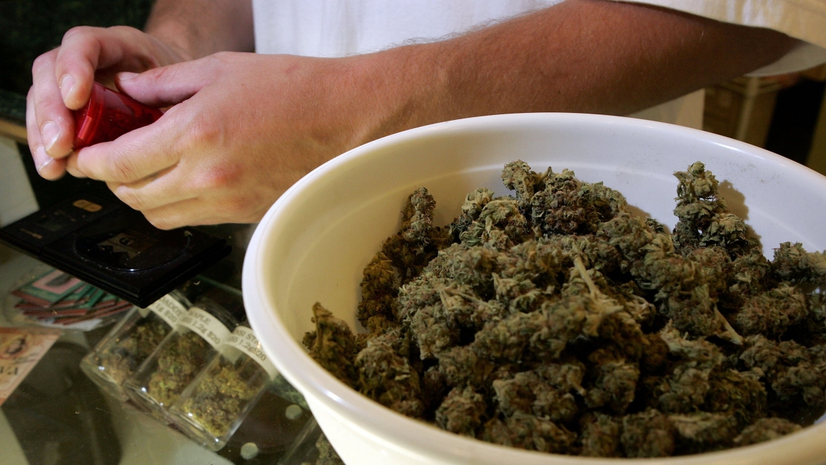 Milano, la trappola della cannabis «rinforzata»: «Aumenta i disturbi psichiatrici sugli adolescenti»