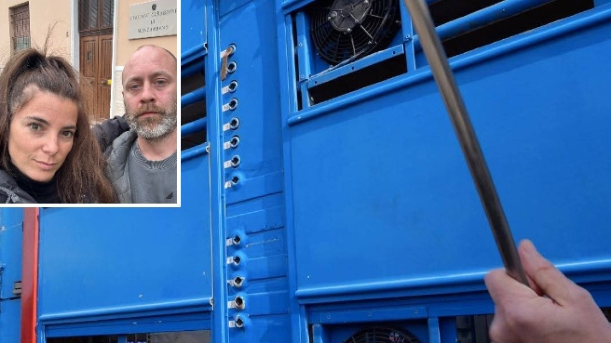 Mantova, aggredita la troupe di Report di fronte al Macello Troni. Sigfrido Ranucci: «Con una spranga hanno spezzato la telecamera»