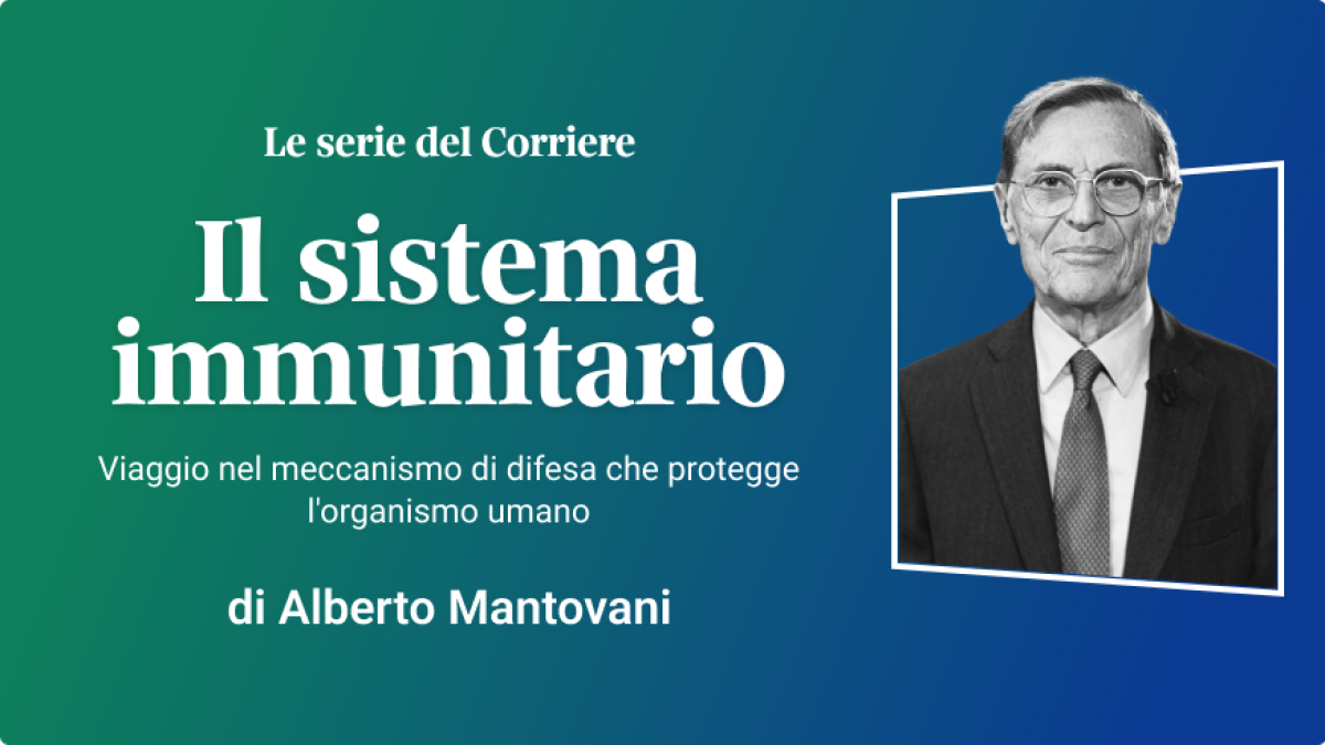 Immunorevolution: le relazioni tra infiammazione e cancro (Il sistema immunitario) | Le Serie del Corriere