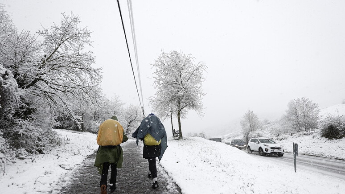 Maltempo sull'Italia: in arrivo un ciclone artico con forti venti di burrasca e neve a bassa quota. L'esperto: «L'episodio più freddo degli ultimi anni»