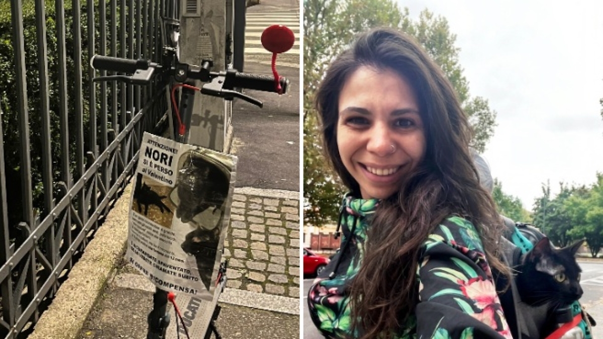 Torino, perde il gatto Nori e lo cerca per 5 settimane in monopattino: la storia commovente dell’ex «X Factor» Elisa Zoccali