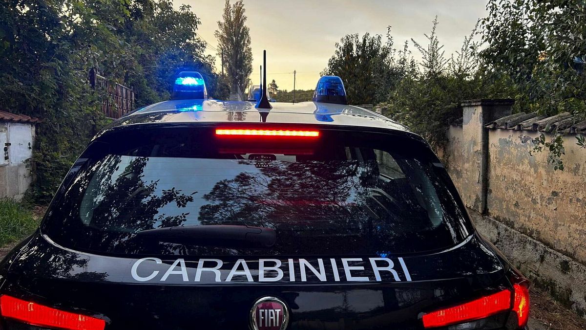 Piacenza, uomo chiama i soccorsi e scappa: "Ho ucciso mia moglie"