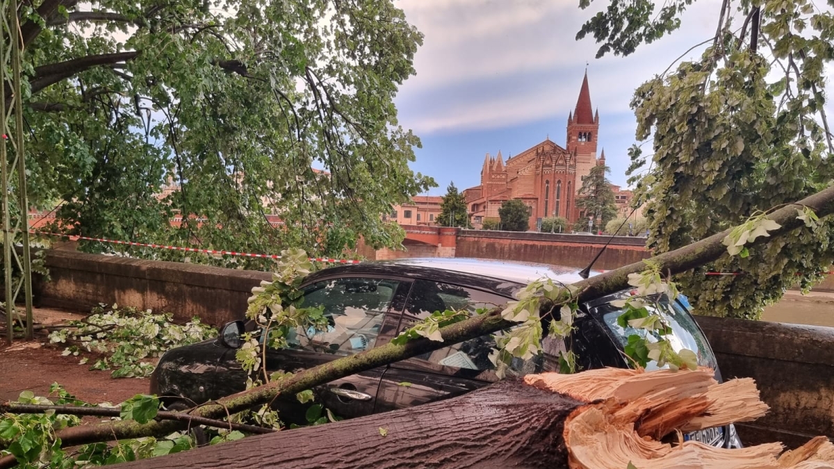 Il maltempo a Verona, ma che cosa è successo? L'esperto: «La supercella da Brescia è diventata un downburst sulla città»