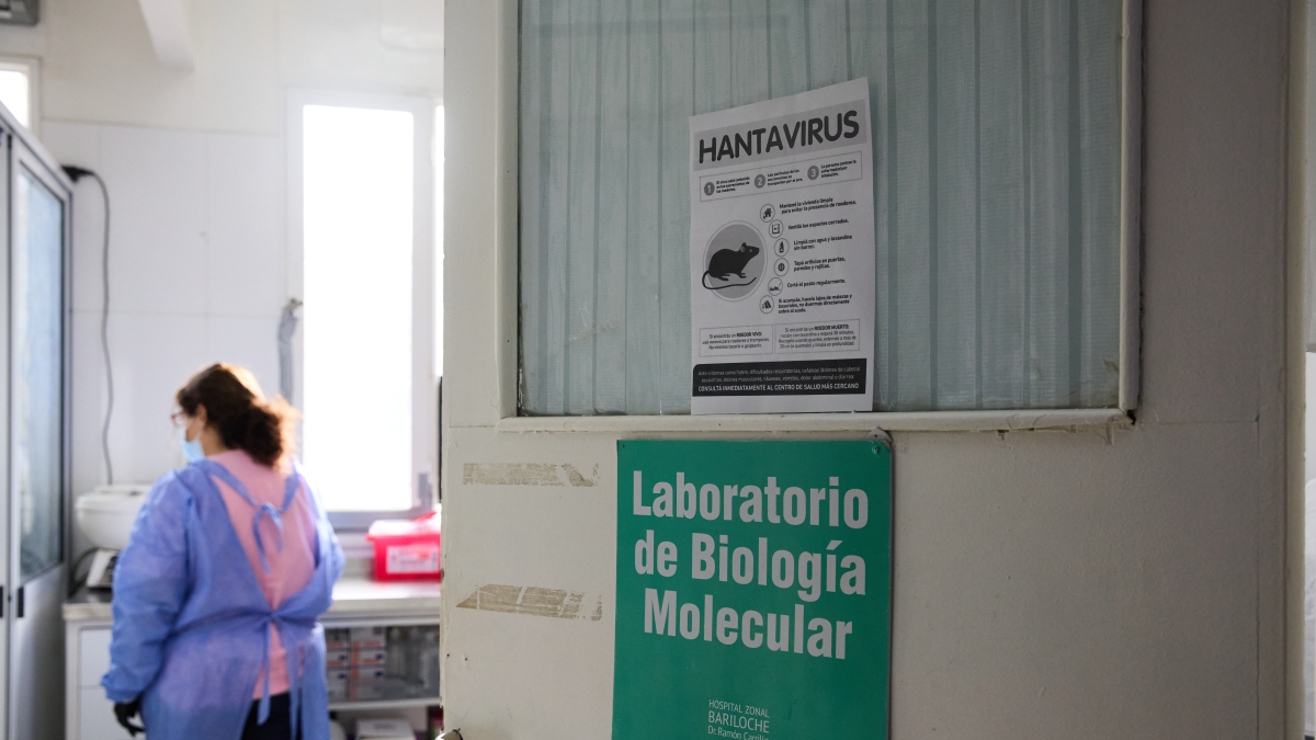 Negativo il test dell'Hantavirus sul turista inglese a Milano: era sullo stesso volo di una delle vittime. La situazione dei contagi nel mondo
