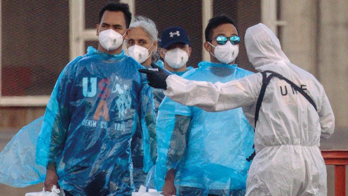 Ilaria Capua sull'Hantavirus: «Infezione grave ma non pandemica. I salti di specie non sono così rari»