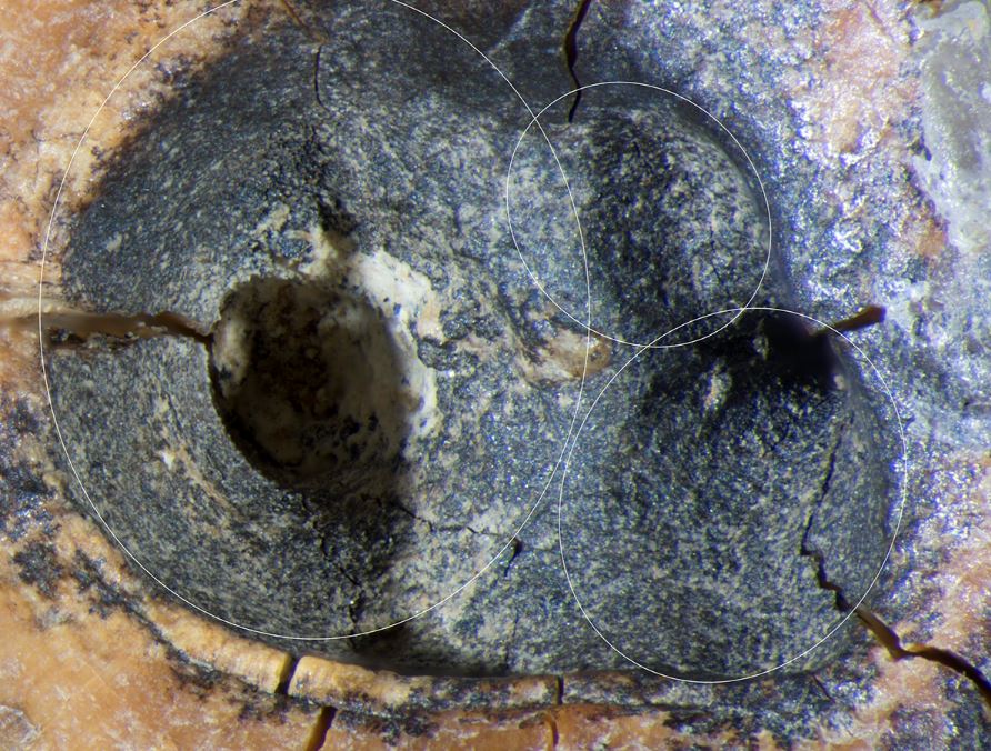 Il dentista di 59.000 anni fa: i Neanderthal trapanavano le carie con strumenti di pietra (e senza anestesia)