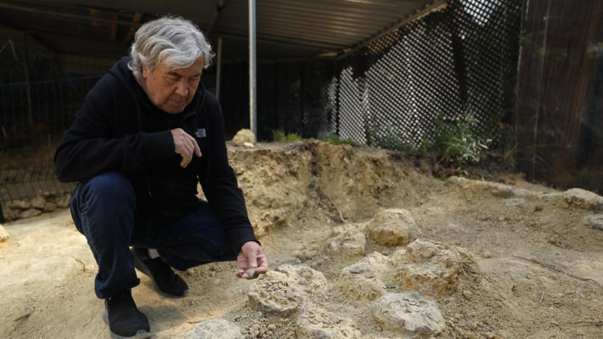 Uova di dinosauro scoperte nel sud della Francia: sono più di 100, alcune intatte dopo 72 milioni di anni